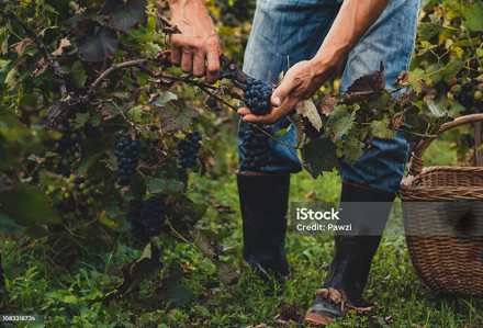 Fotak článku - Nadpis novinky bublinky jsou životní styl