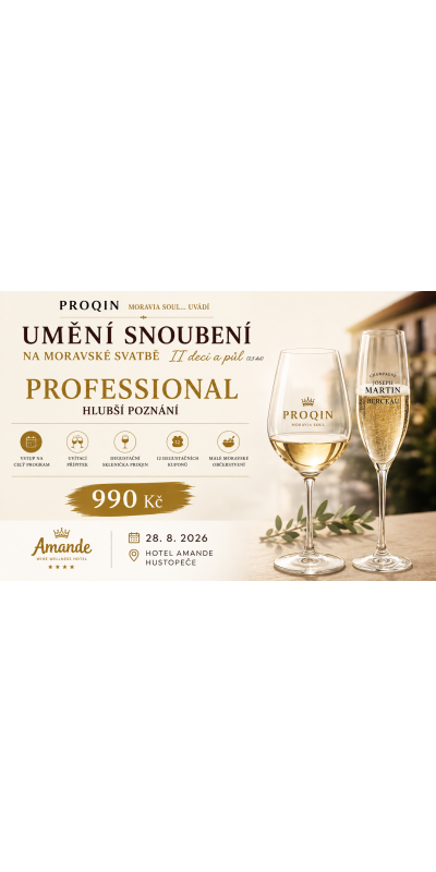 UMĚNÍ SNOUBENÍ | PROFESSIONAL | Hotel Amande | 28. 8. 2026